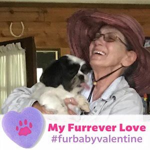 Meet your Posher, Janice